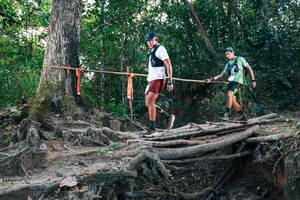 BIB: 
                            <button type="button" onclick="openModal(27309431)" class="btn btn-primary btn-sm float-right btn-popup" data-toggle="modal" data-target=".modal-high-quality">
                        <i class="fas fa-shopping-cart"></i> Add to Cart
                    </button>
                                            <button type="button" onclick="isThisMe(27309431, true)" class="btn btn-success btn-sm float-right btn-popup btn-isme hidden" data-toggle="tooltip" data-placement="bottom" title="นี่คือรูปของคุณใช่ไหม คลิกที่นี่เพื่อเอาเข้าอัลบั้ม">
                        <i class="fas fa-plus"></i> Add to album
                    </button>
                    <button type="button" onclick="isThisMe(27309431, false)" class="btn btn-warning btn-sm float-right btn-popup btn-isnotme hidden">
                        <i class="fas fa-ban"></i> Remove from album
                    </button>